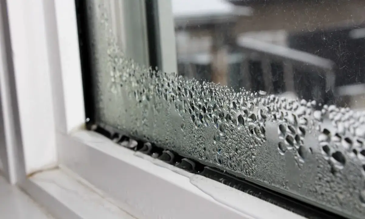Goccioline d'acqua formano una **condensa interstiziale** sul vetro di una finestra, con un telaio bianco visibile.