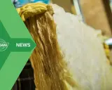 Mani guantate tengono un pannello di lana di vetro, materiale isolante che può essere pericoloso se non maneggiato con cura.