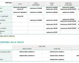 Tabella comparativa dei tipi di rasatura per diversi supporti, con indicazioni sui prodotti weber.
