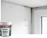 Angolo di una stanza con muffa sul muro e sul soffitto, accanto a un barattolo di vernice antimuffa San Marco Superconfort Anticondensa.