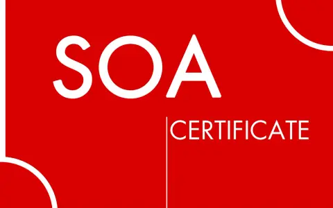 Certificato SOA: cos'è e a cosa serve. Un documento che attesta la qualificazione di un'impresa.