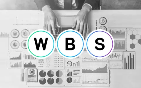 Dati e grafici analizzati per una work breakdown structure (WBS) efficace.