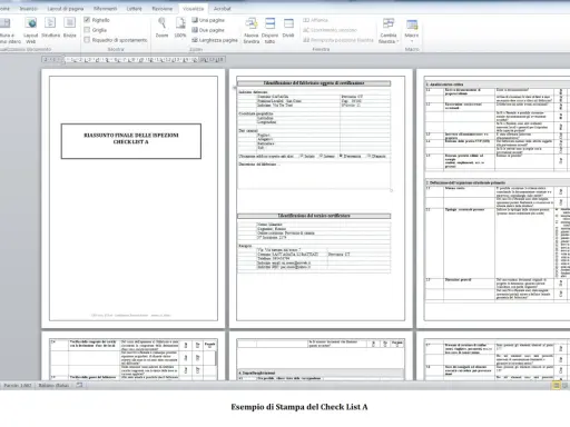 Certificato di idoneità statica: riassunto finale delle ispezioni.